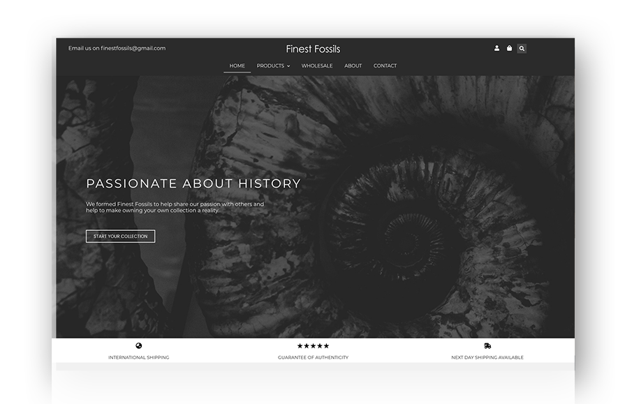finest fossils website